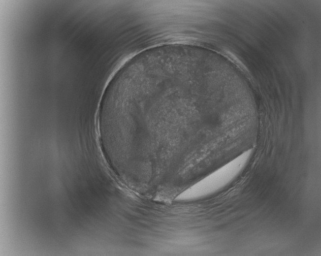 X0000067460891200604281825