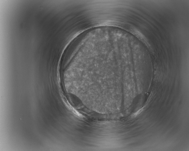 X0000067460892200604281825