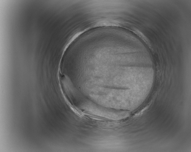 X0000067460893200604281825