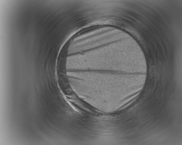 X0000067460894200604281825