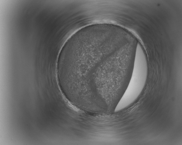 X0000067460895200604281825