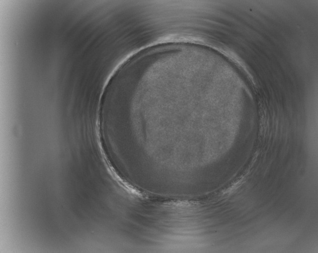 X0000067460896200604281825