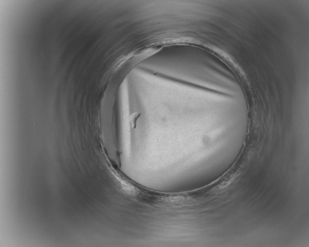 X0000067460897200604281825