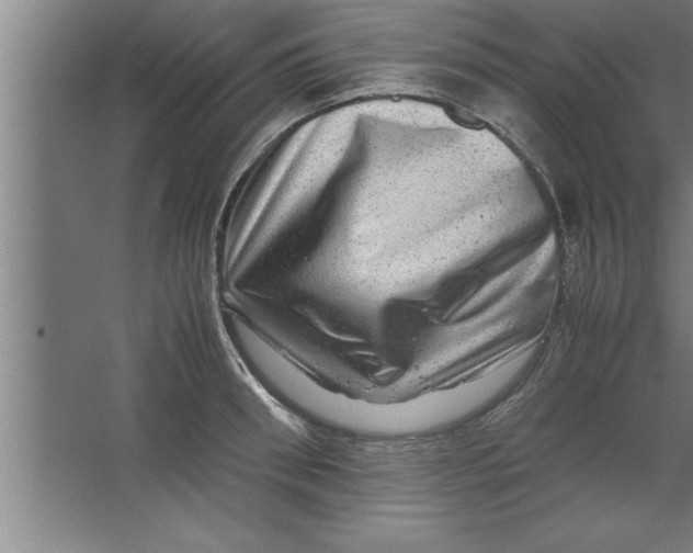 X0000067460898200604281825