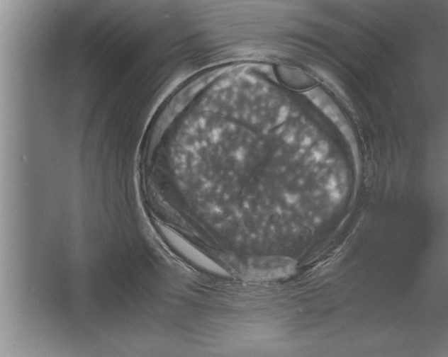 X0000067460899200604281825