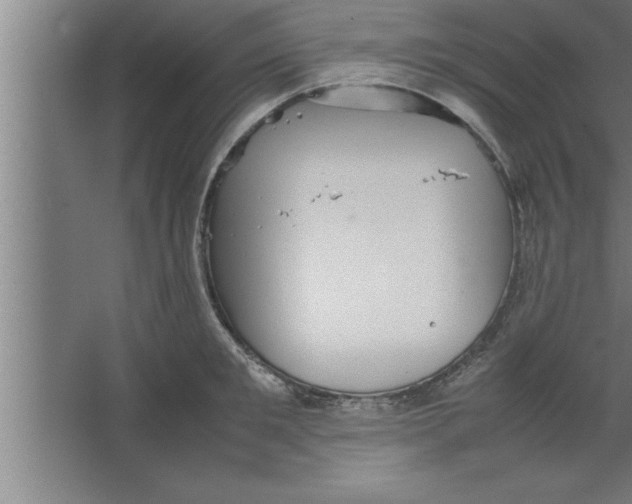 X0000067460901200604281825