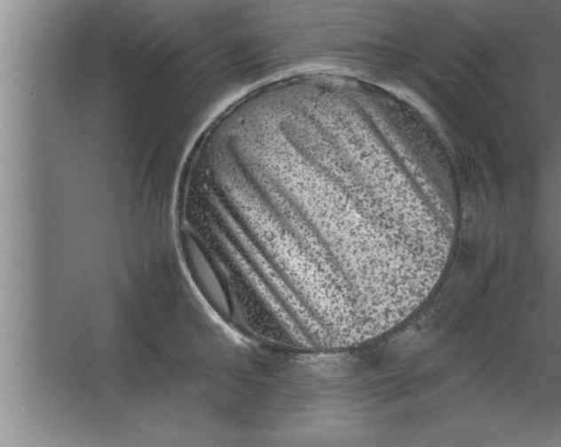 X0000067460902200604281825