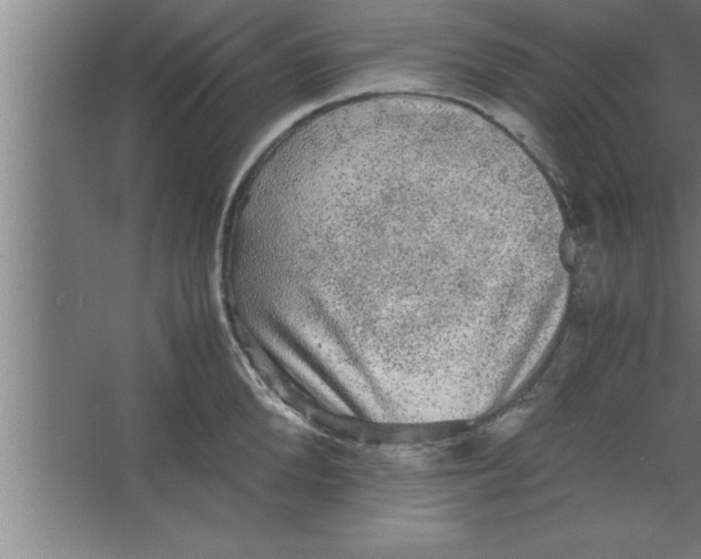 X0000067460904200604281825