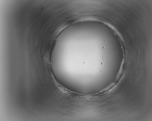 X0000067460905200604281825