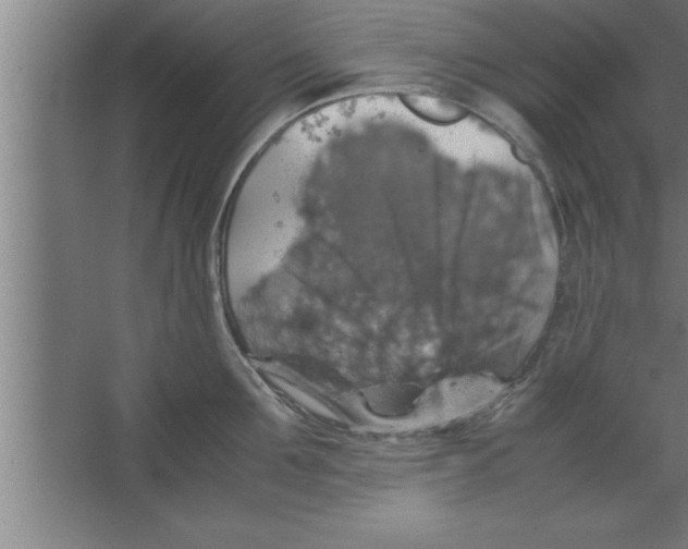 X0000067460907200604281825