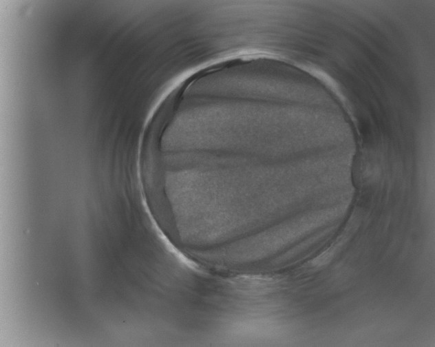 X0000067460910200604281825