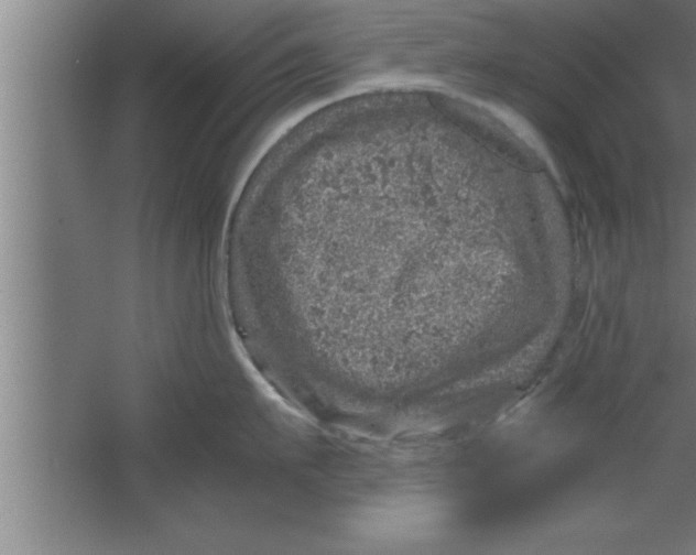 X0000067460911200604281825