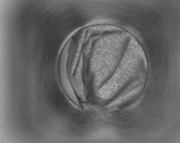 X0000067460912200604281825