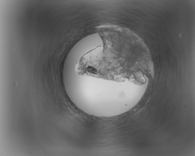 X0000067460913200604281824