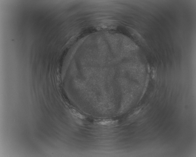 X0000067460915200604281824