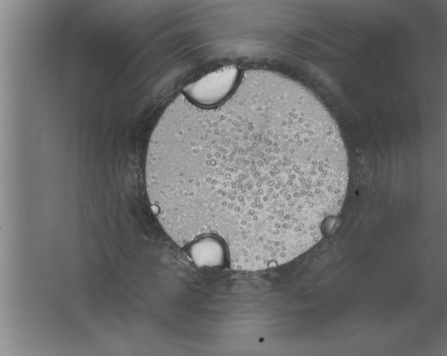 X0000067460918200604281824