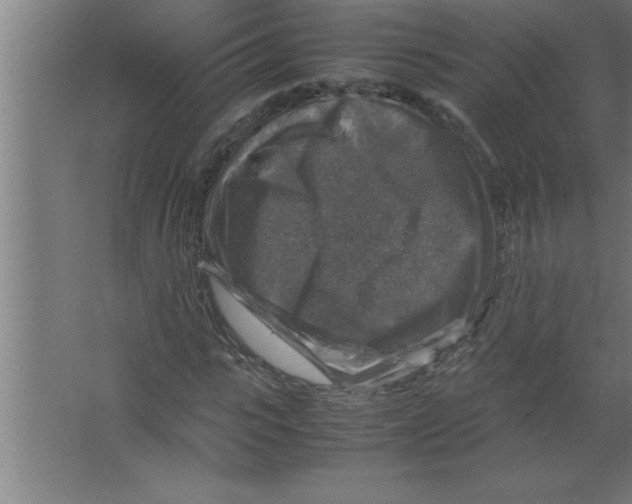 X0000067460919200604281824