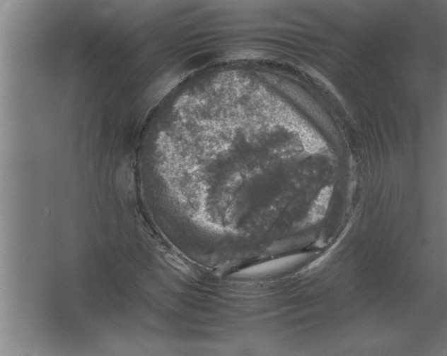 X0000067460921200604281824