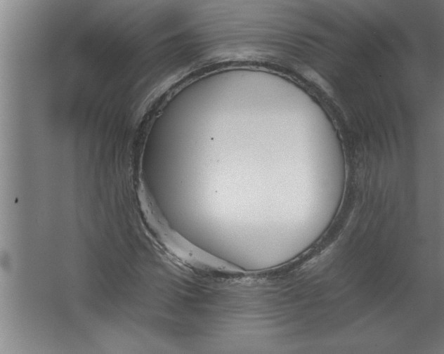 X0000067460922200604281824