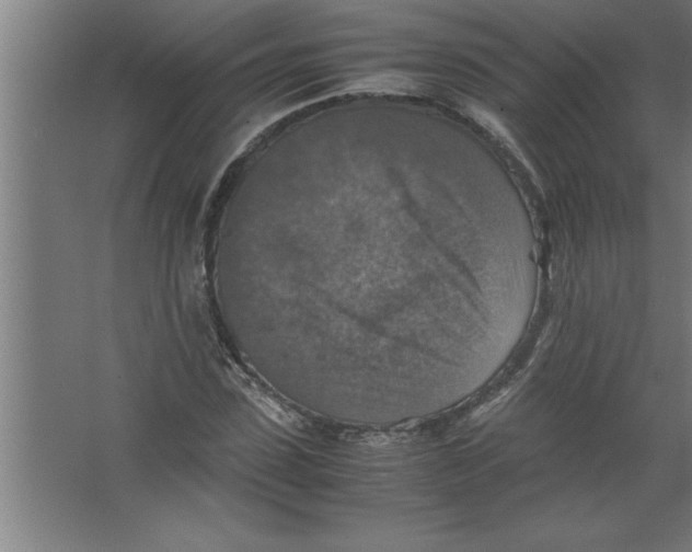 X0000067460923200604281824