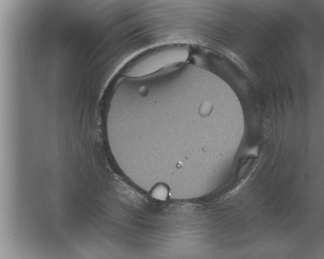 X0000067460926200604281824