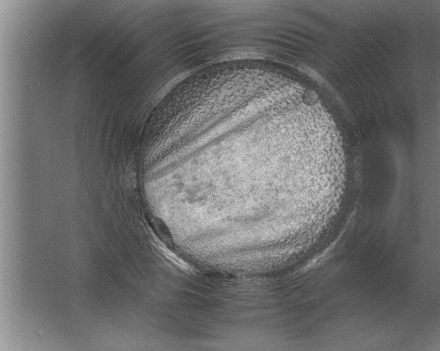 X0000067460929200604281824