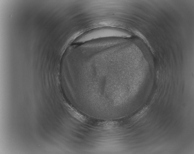 X0000067460930200604281824