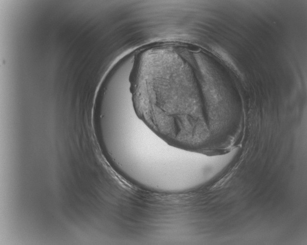 X0000067460932200604281824