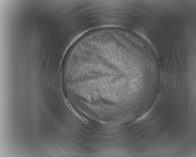 X0000067460933200604281824