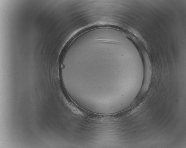 X0000067460934200604281824