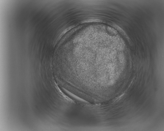 X0000067460937200604281824