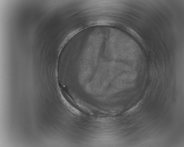 X0000067460938200604281824