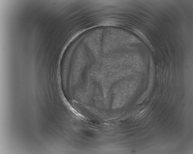 X0000067460939200604281824