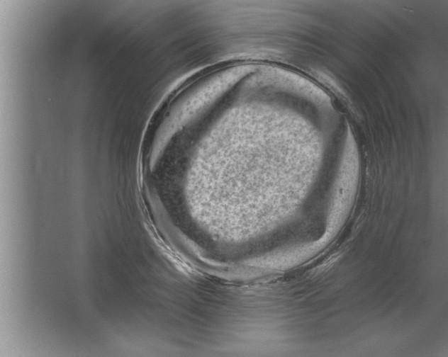 X0000067460940200604281824