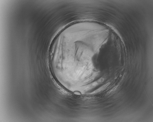 X0000067460941200604281824