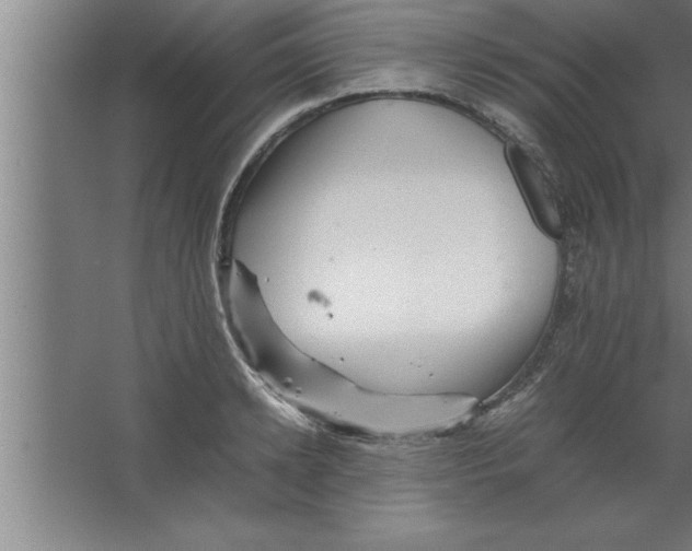 X0000067460942200604281824