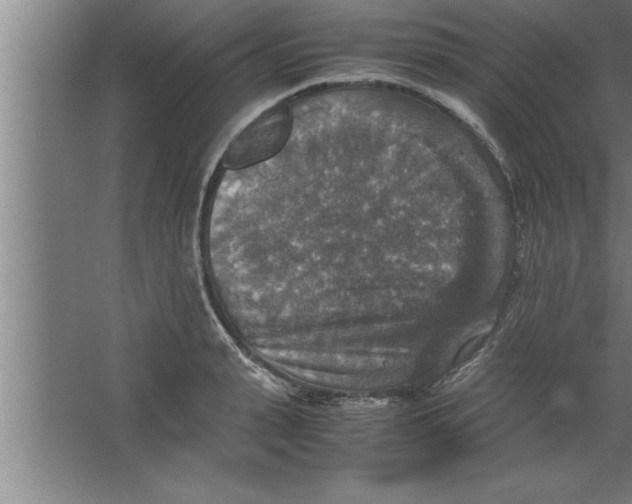 X0000067460943200604281824