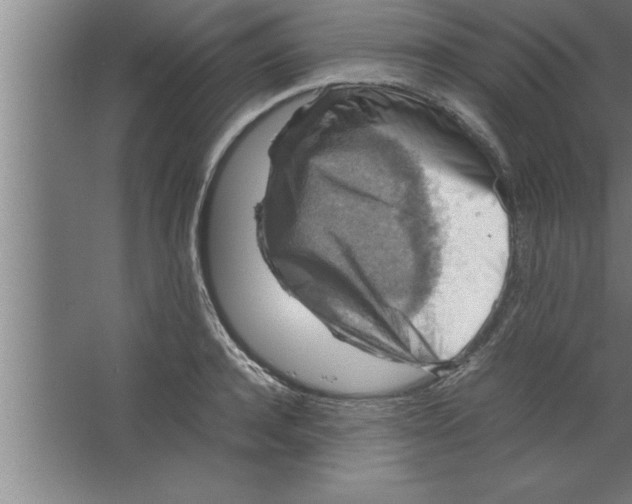 X0000067460944200604281824