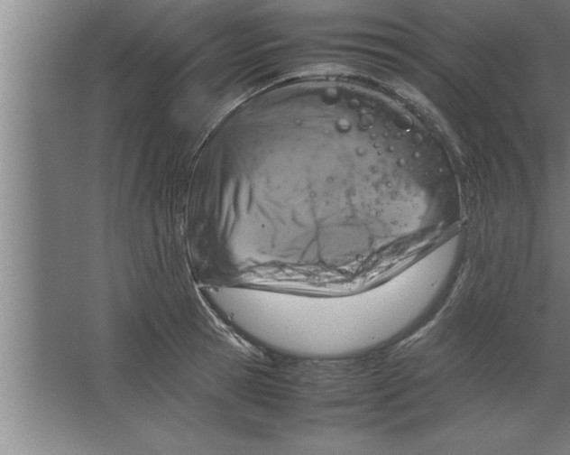 X0000067460945200604281824