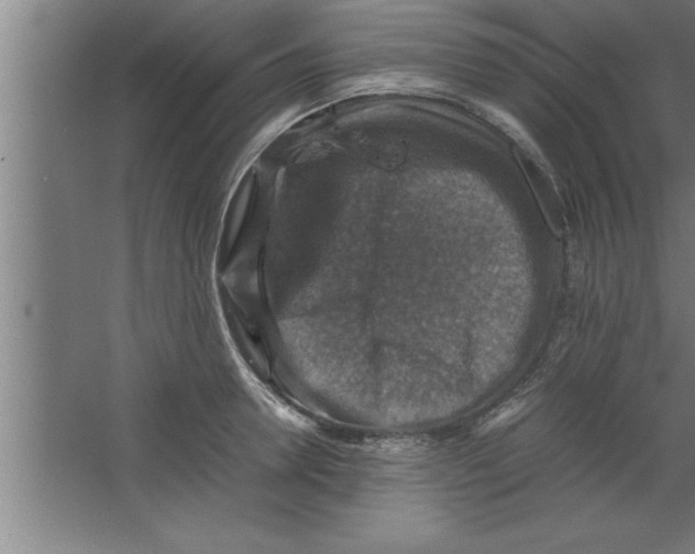 X0000067460946200604281824