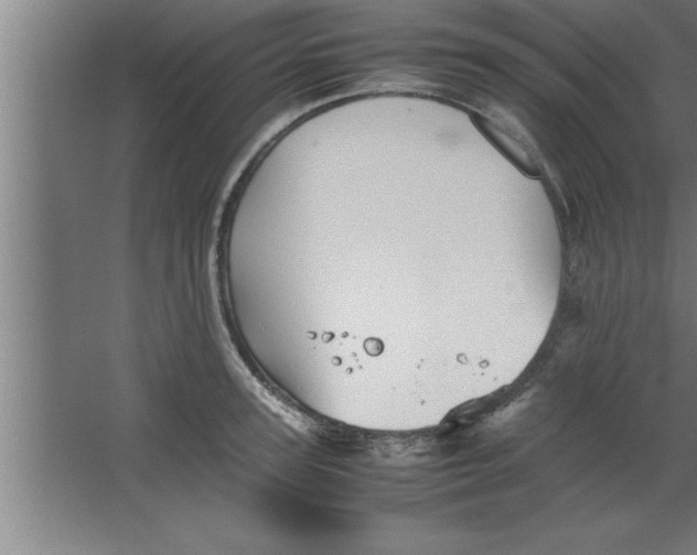 X0000067460947200604281824