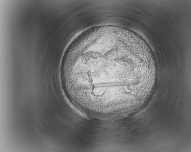 X0000067460949200604281824