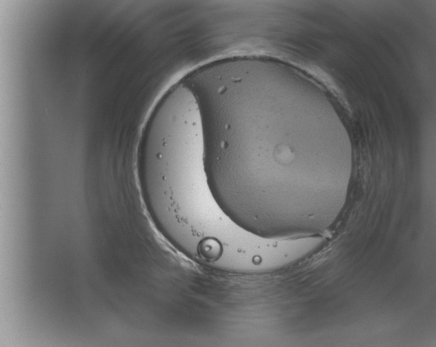 X0000067460950200604281825