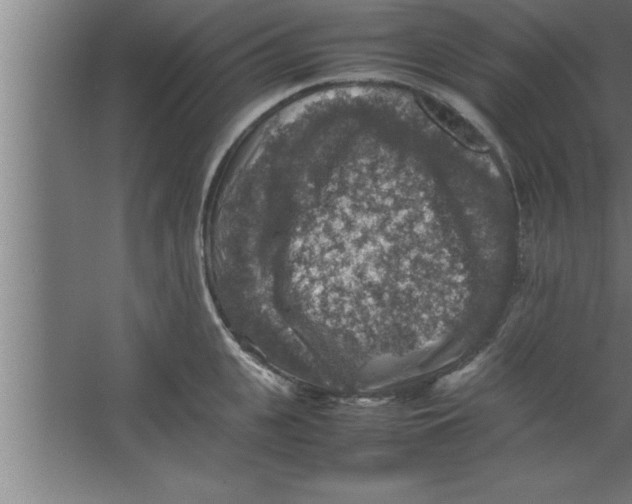 X0000067460951200604281825