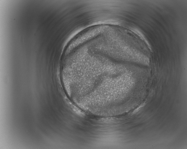 X0000067460952200604281825