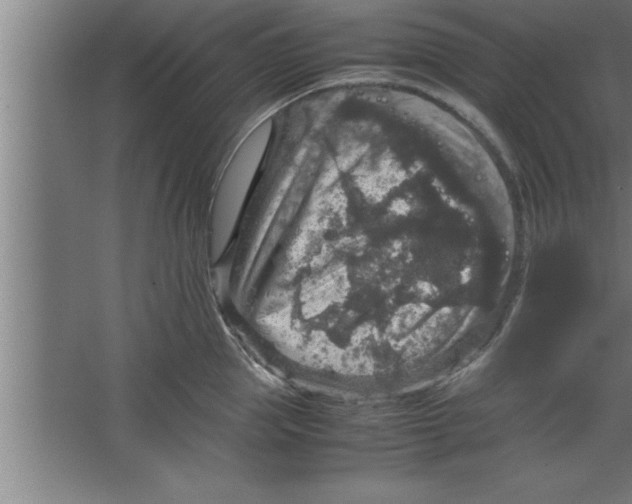 X0000067460953200604281825