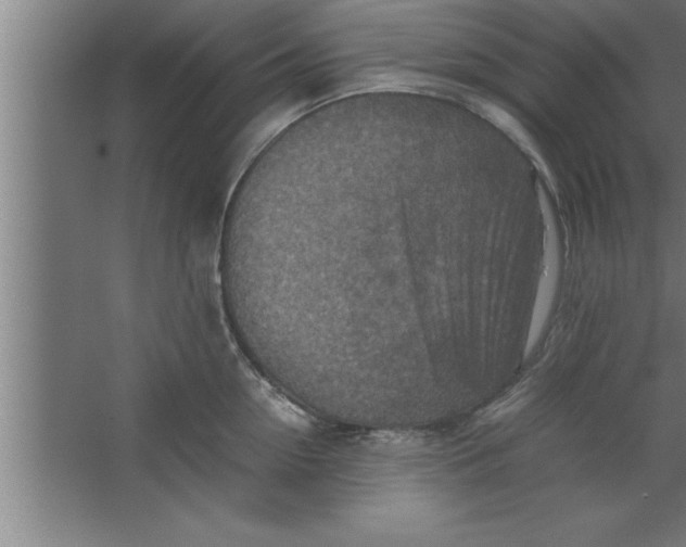 X0000067460954200604281825