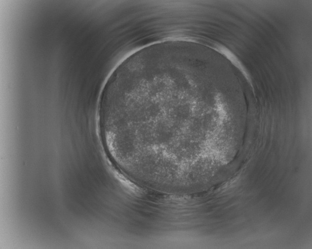 X0000067460955200604281825