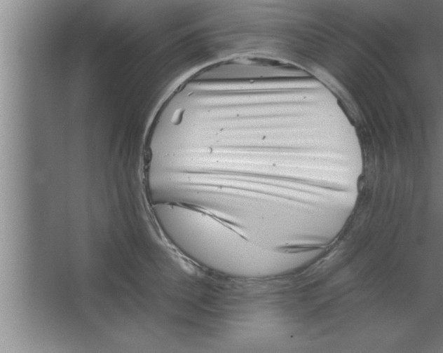 X0000067460956200604281825