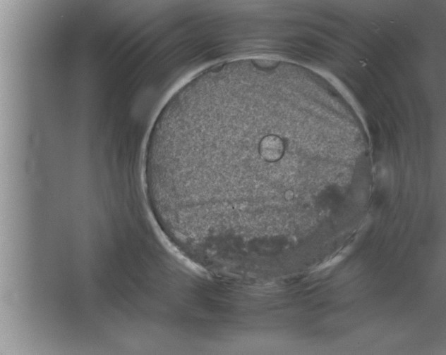 X0000067460957200604281825